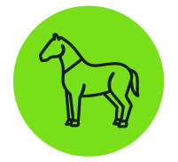 Horse - Roundel Icon
