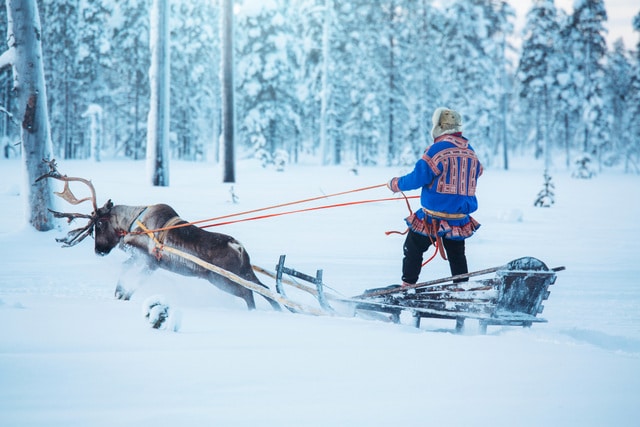 Kakslauttanen Sami man with reindeer