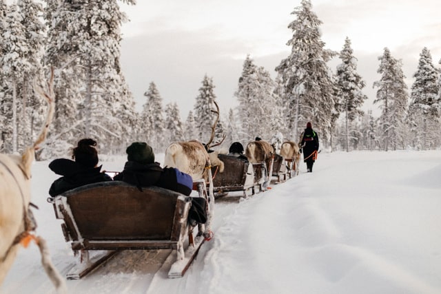 Reindeer Safari