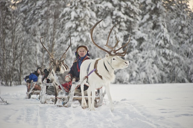 Reindeer safari Kakslauttanen
