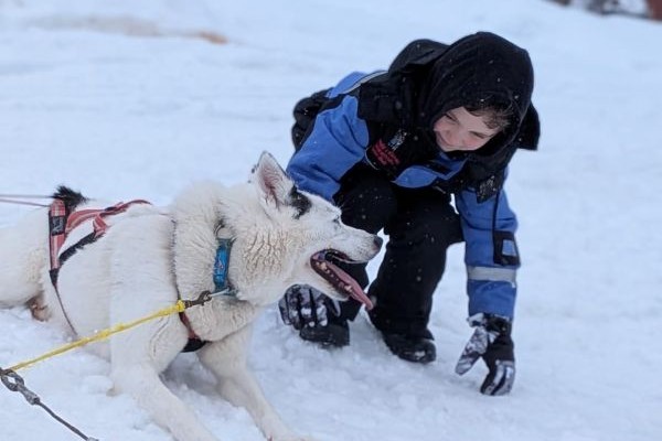 Child playing with husky in Finland