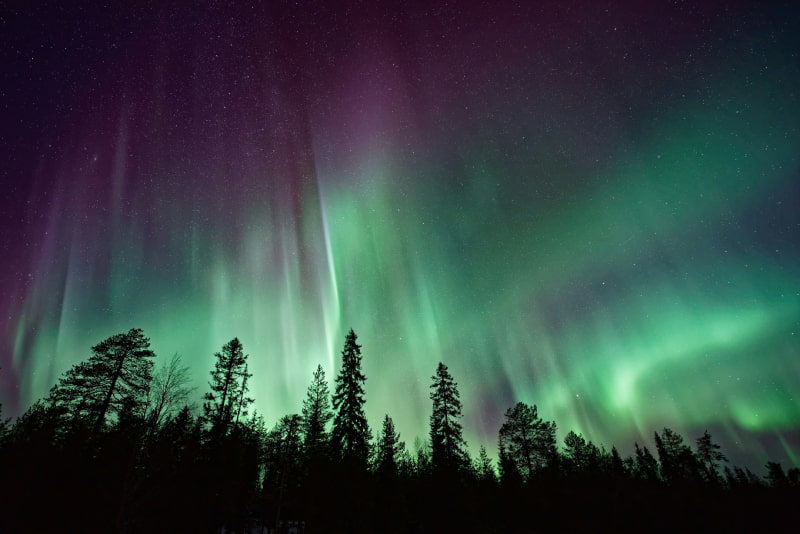 Northern <br> Lights