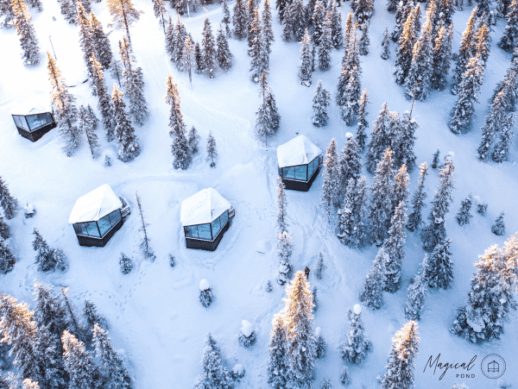 magical pond igloos in forest