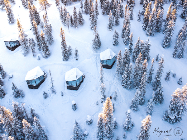 magical pond igloos in forest