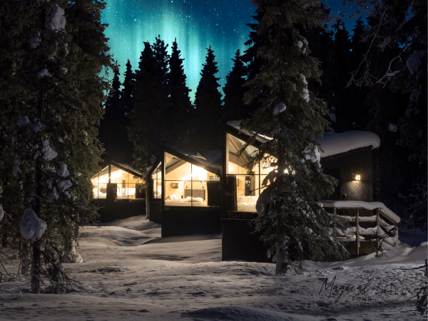 magical pond northern light igloos