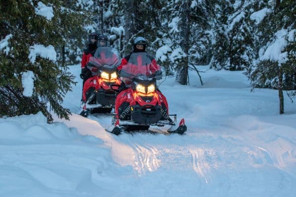snowmobiling in the forest