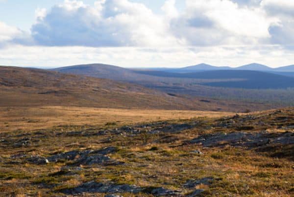 view of landscape in the autumn