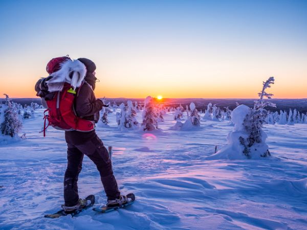 snowshoeing in the forest