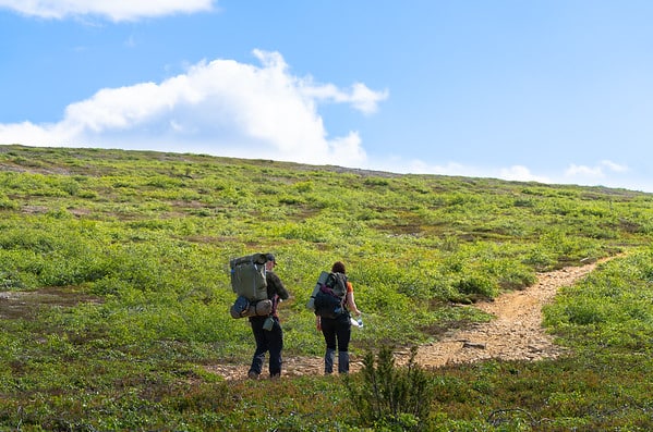 hiking in the summer