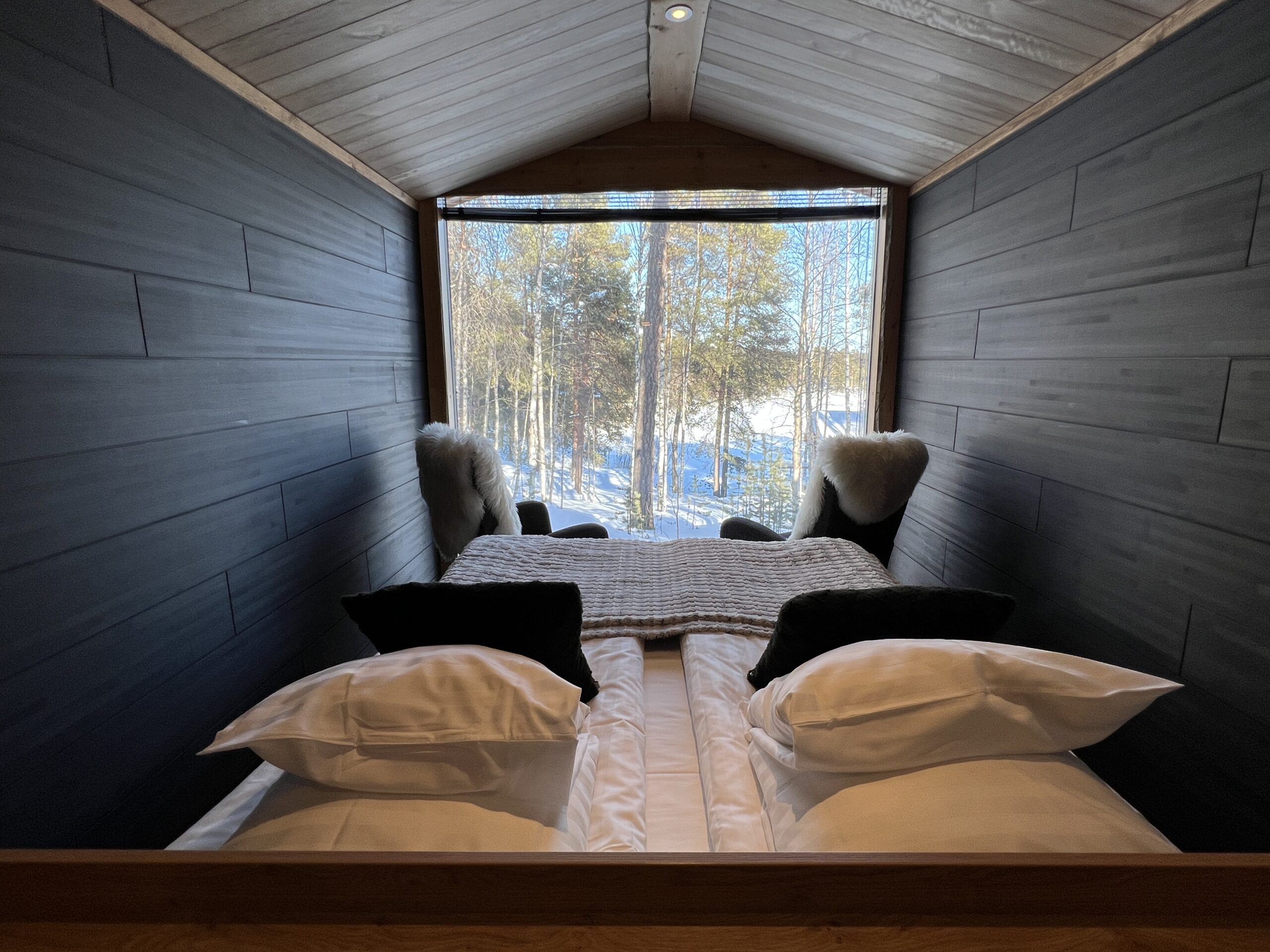 Arctic Nature Cabin with view of forest