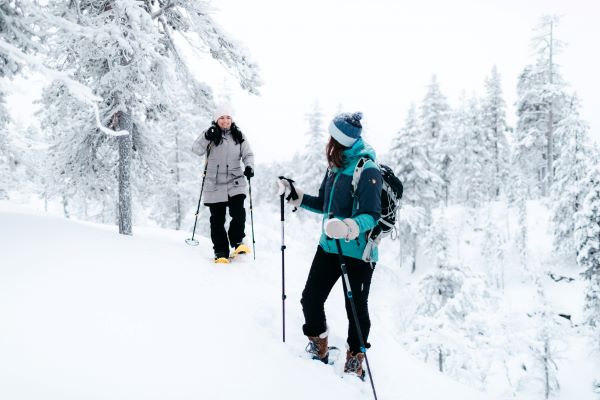 snowshoeing in the forest
