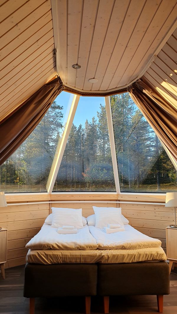 view of summer trees from inside igloo