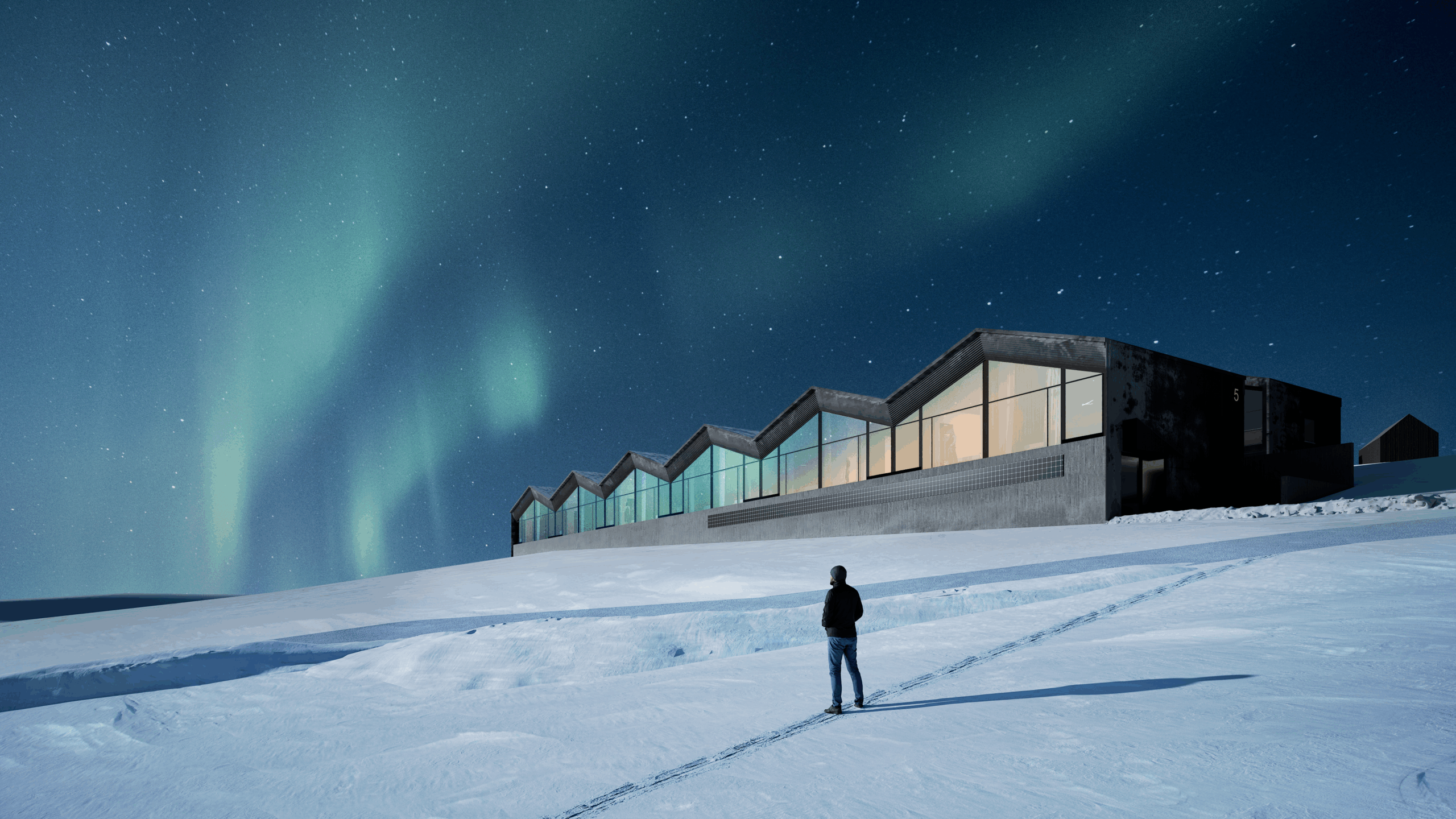 person stood in snow watching the northern lights