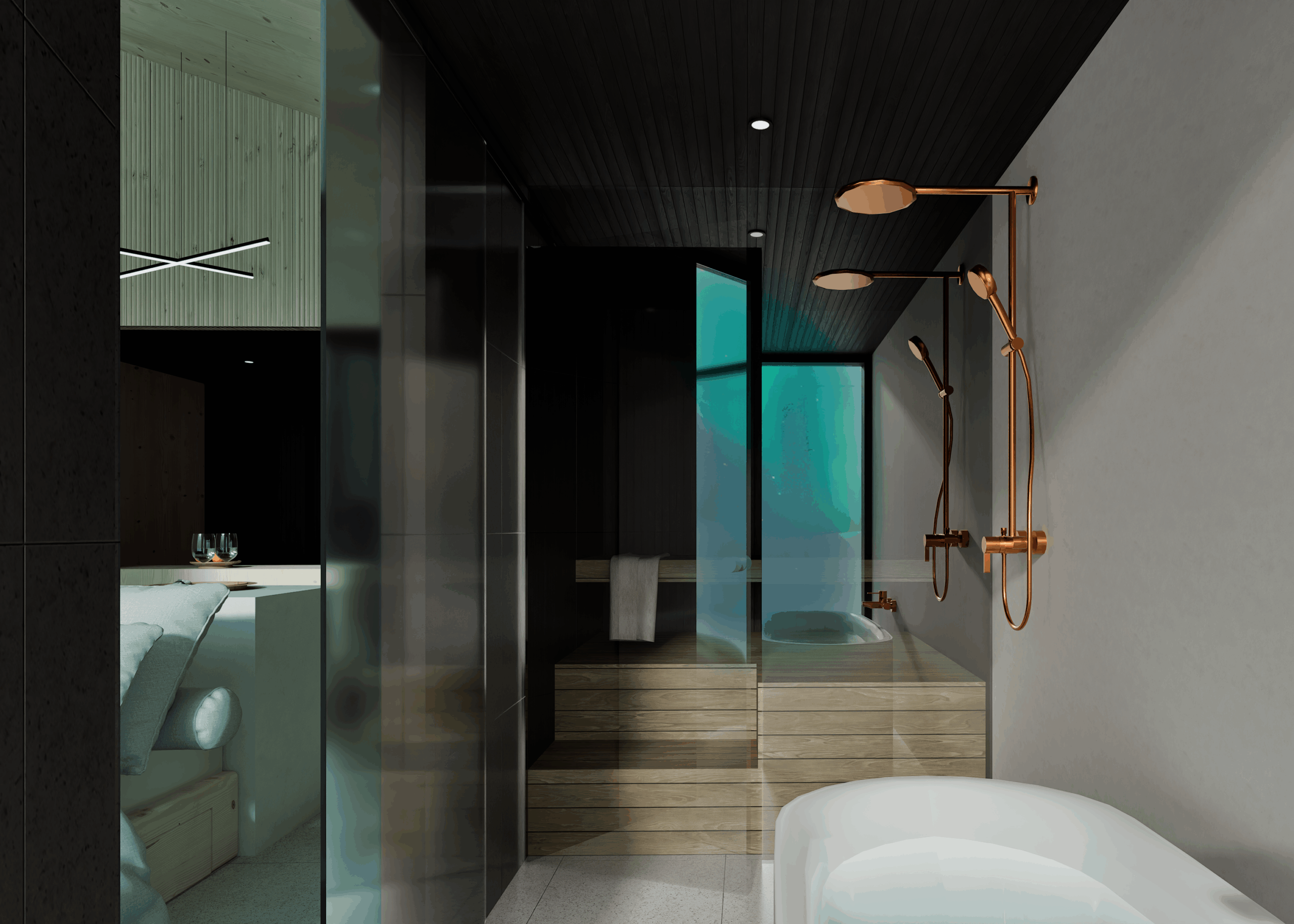 sauna and shower room