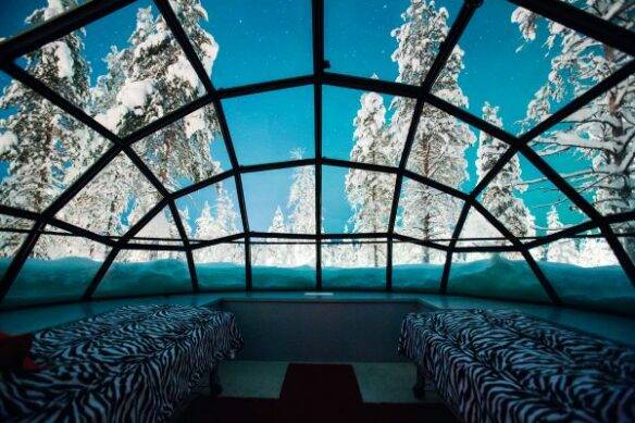 inside glass igloo with forest background