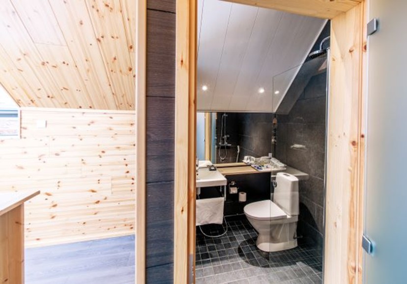 Star Arctic Aurora Glass cabin bathroom view