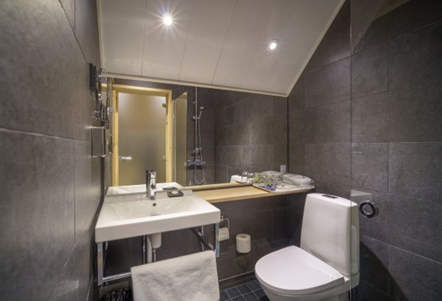 Star Arctic Aurora Glass cabin bathroom