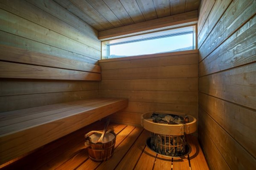 Star Arctic scenic suite with sauna