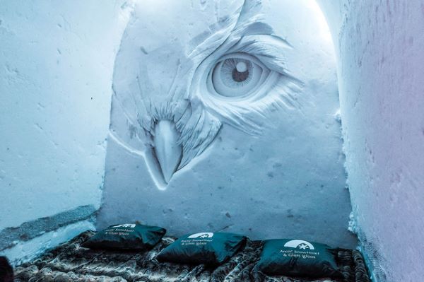 owl wall carving in the snow hotel