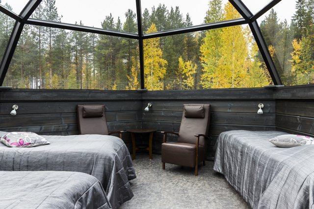 inside a family igloo with autumn trees outside