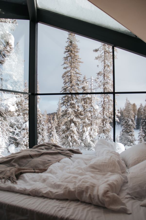 view of snowy trees from inside igloo