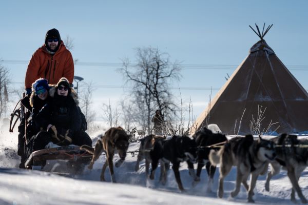dogsledding in abisko