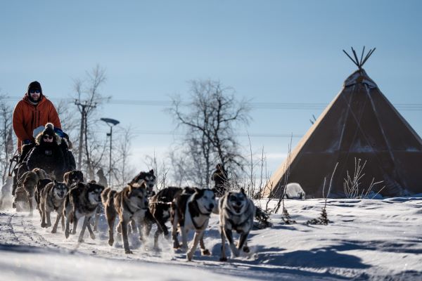 dogsledding with kota tent in the background