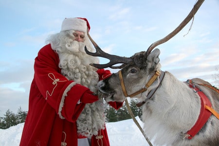 santa feeding reindeer
