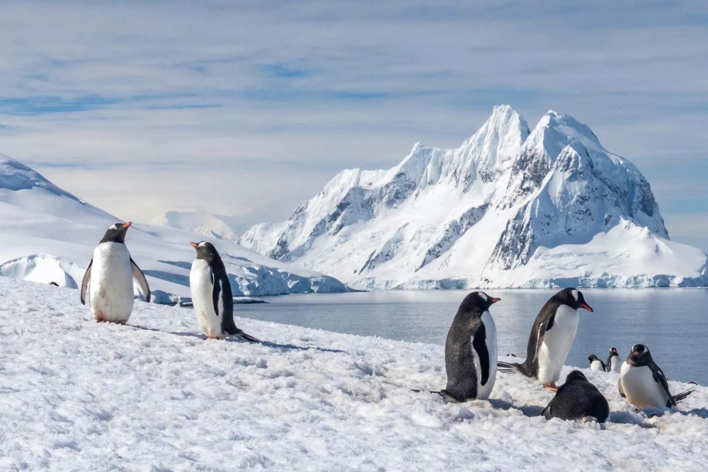 Antarctica