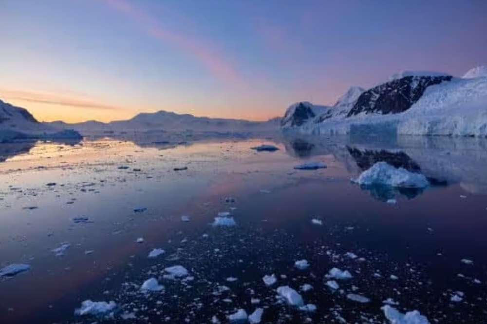 antarctica icebergs