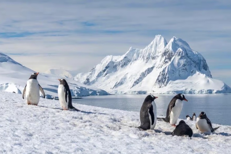 Antarctica