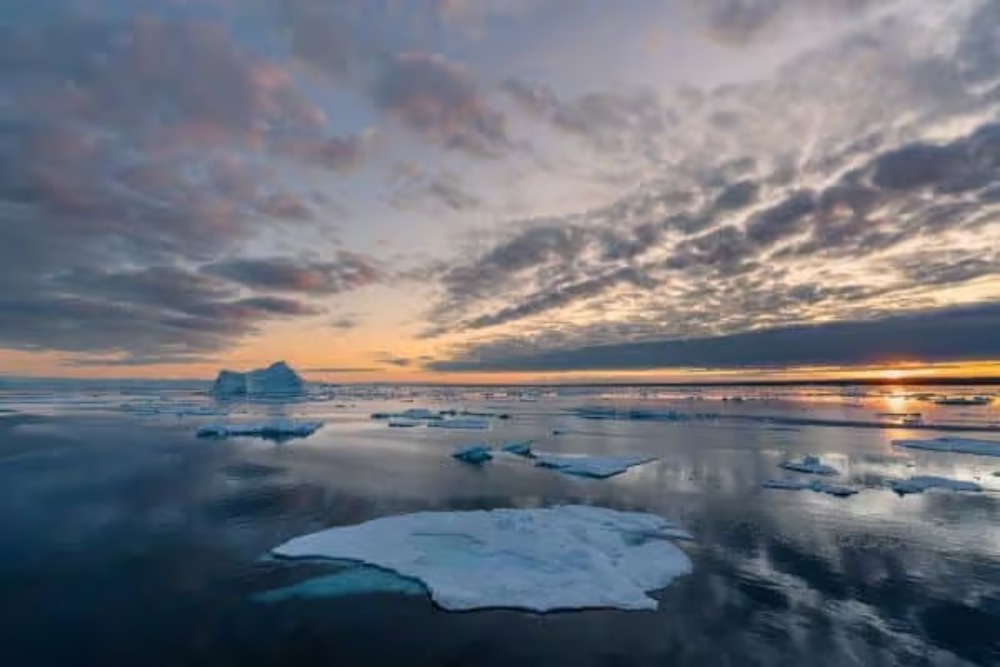 small icebergs on the water in greenland