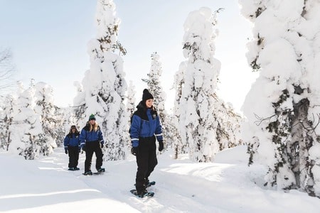 people snowshoeing in snowy forest