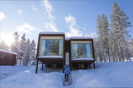 arctic tree house hotel cabin