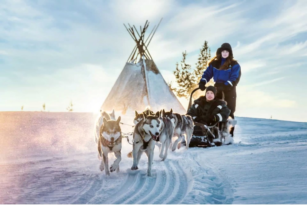 dogsledding in the snow