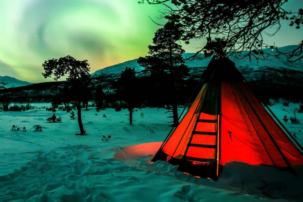 northern lights above kota tent