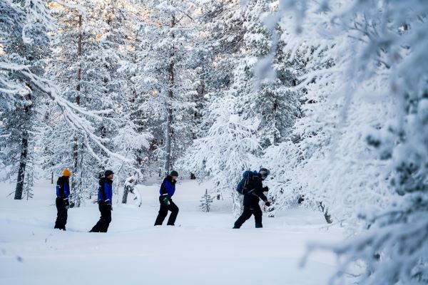 people snowshoeing through the snowy forest