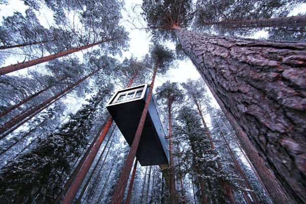 Accommodation in the trees