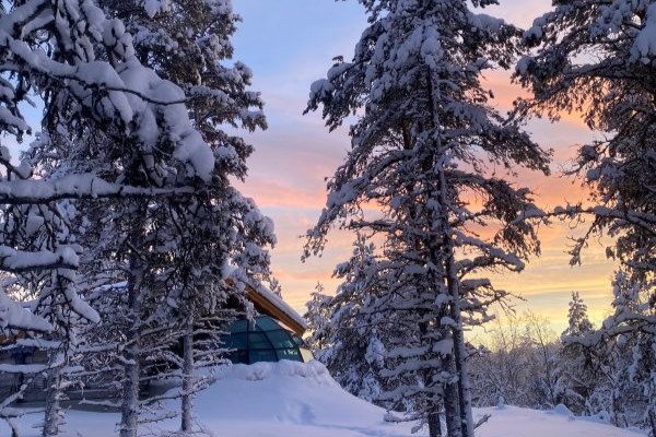 glass igloo hidden between snow covered trees