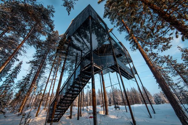 Treetop accommodation in sweden