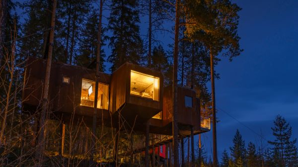 Accommodation in the trees at TreeHotel in sweden