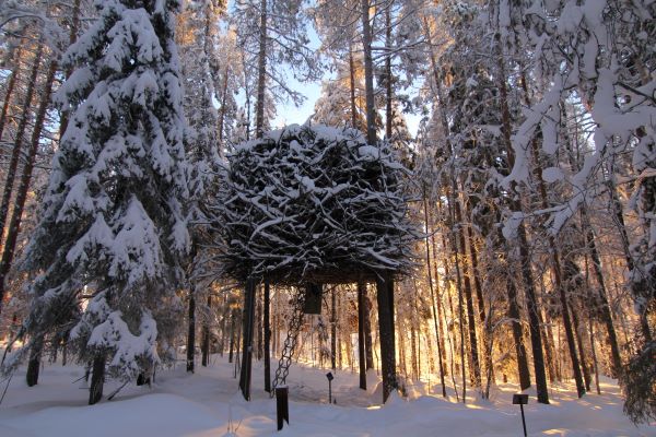 Birds nest treetop accommodation surrounded by snow covered trees in sweden
