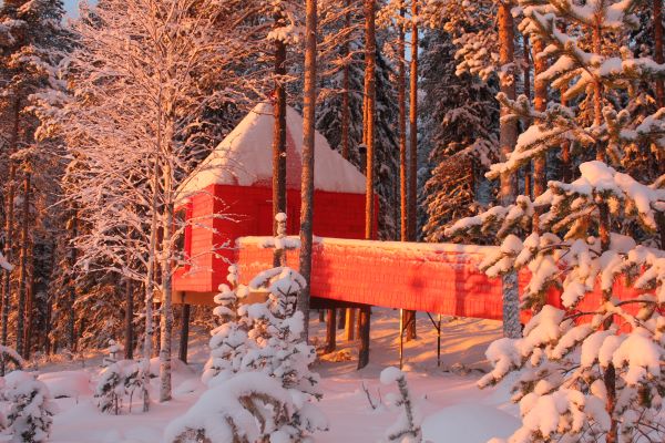 Red cabin accommodation at TreeHotel surrounded by the forest