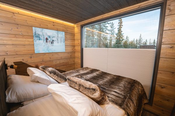 aurora suite bed
