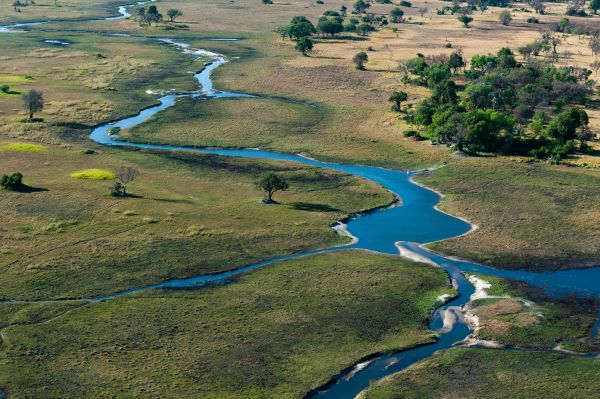 Okavango delta